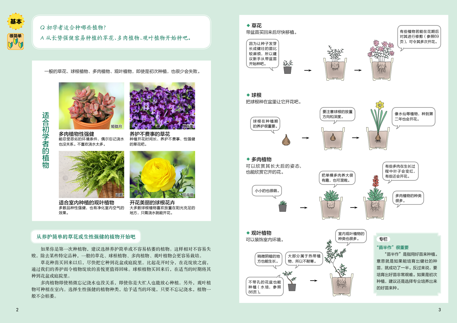 园艺植物学ppt(园艺植物学报影响因子)