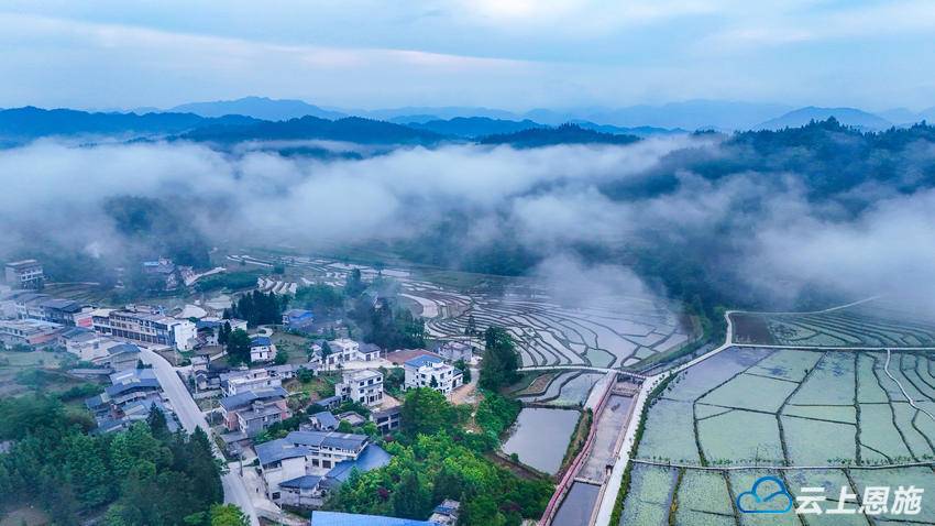 利川凉雾花卉园艺(利川凉雾花卉园艺场地址)