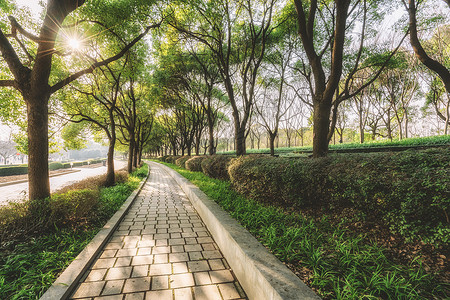 广州春树园艺基地(广州时代春树里二手房)