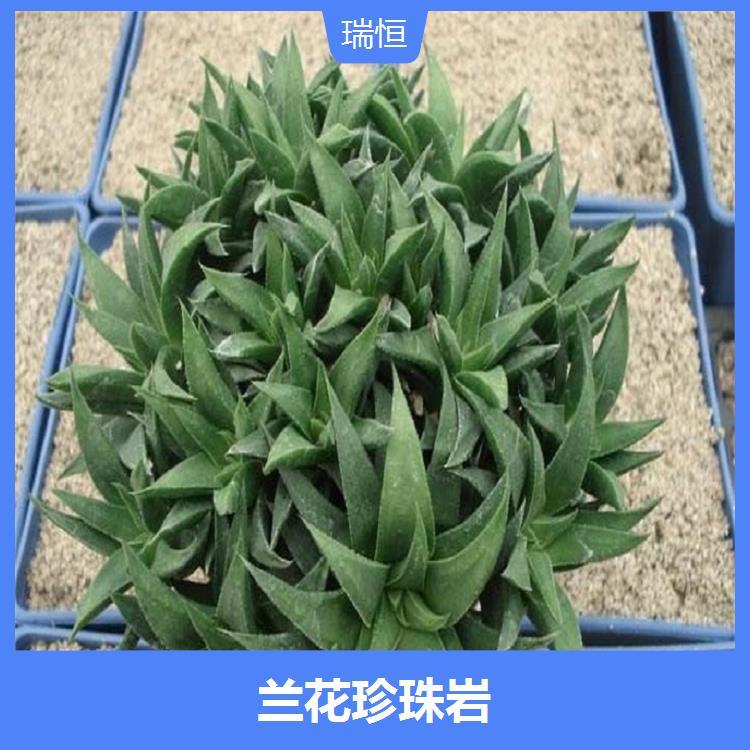 园艺珍珠岩推荐(园艺珍珠岩推荐品牌)