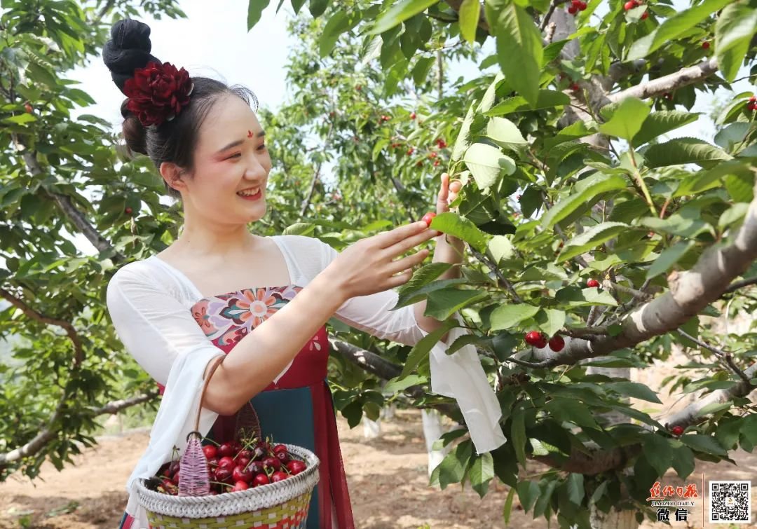 河南温县梨园园艺(河南温县梨园园艺场地址)