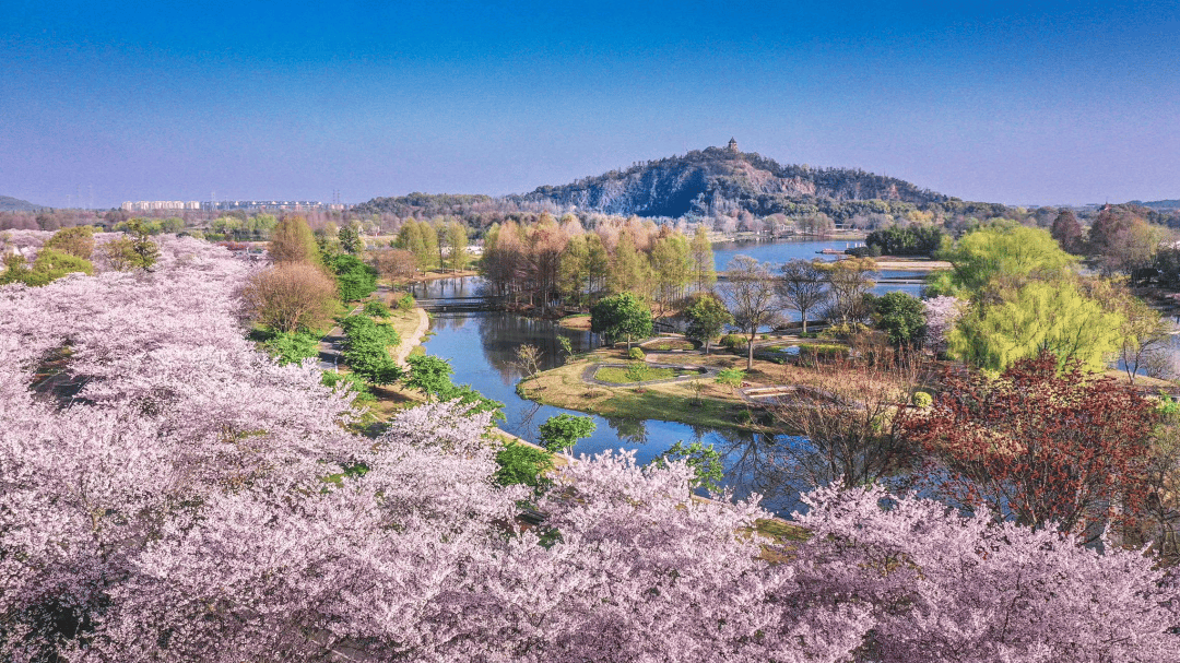 上海浦南园艺春暖花开(春暖花又开电视剧全集观看)